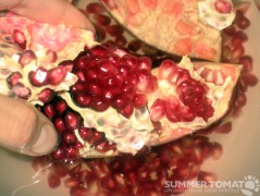 Broken Pomegranate Removing Pomegranate Seeds
