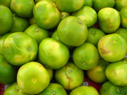 pomelo