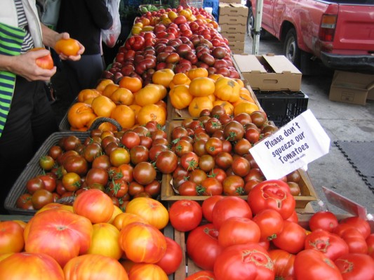Summer Tomatoes Summer Tomatoes