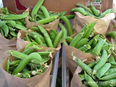 english-shelling-peas English Shelling Peas