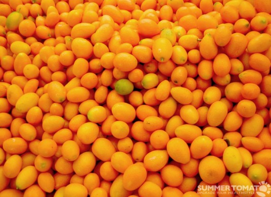 kumquats Kumquats