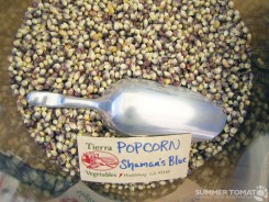 shamans-blue-popcorn Shaman's Blue Popcorn