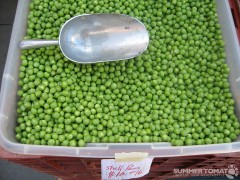 shell-peas Shell Peas