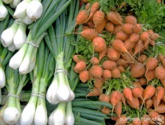 Thumbalina Carrots