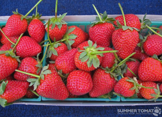 stemmed-strawberries Strawberries
