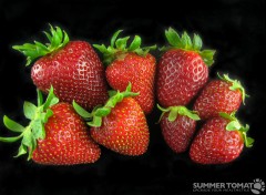 strawberry-compare 1st & 2nd Year Strawberries