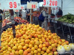 Cheap Apricots