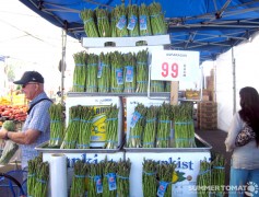 Cheap Asparagus