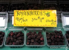 boysenberries Boysenberries