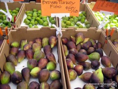 Brown Turkey Figs