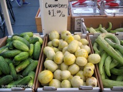Cucumbers