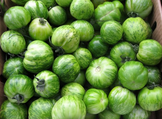 Green Tomatoes
