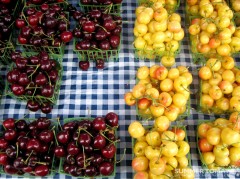 Larian & Rainier Cherries