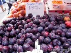 Organic Plums
