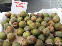 pluots Pluots