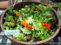 Salad Mix