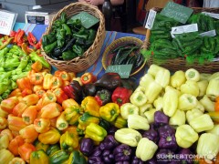 peppers-and-chilies Chilies and Peppers