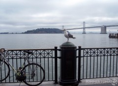 summer-in-san-francisco Summer in San Francisco