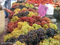 assorted-grapes Assorted Grapes