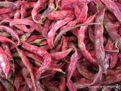 cranberry-beans-2 Cranberry Beans
