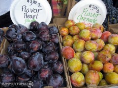Pluots