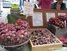 French Prunes