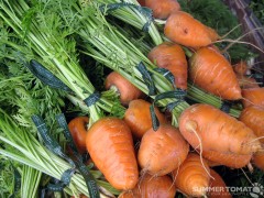 Carrots