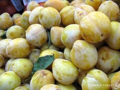 mango-plums Mango Plums