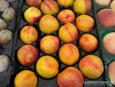 Nectarines