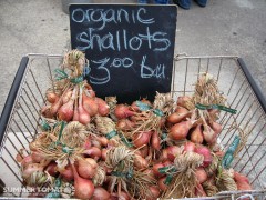 Organic Shallots