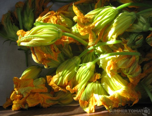 perfect-squash-blossoms Perfect Squash Blossoms