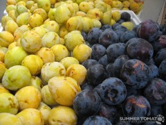 Pluots