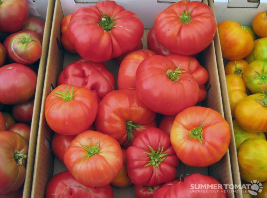 summer-tomatoes Summer Tomatoes