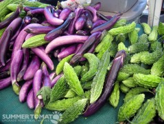 Chinese Eggplant and Melon Chinese Eggplant & Melon