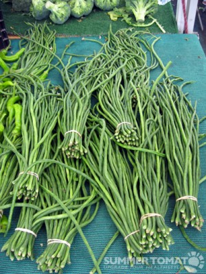 Chinese Long Beans Chinese Long Beans