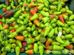 Jalepenos Jalepenos