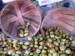 Jujubes Jujubes