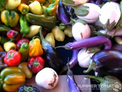 Peppers and Eggplants