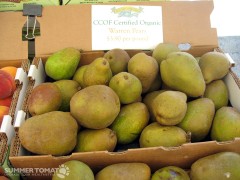 Warren Pears