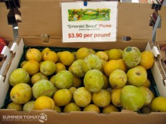 Emerald Beaut Pluots