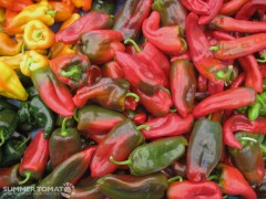 Pimentos