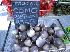 Como Eggplants Como Eggplants