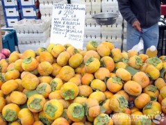 Early Fuyu Persimmons