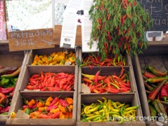 Extra Hot Peppers Extra Hot Peppers
