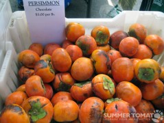 First Chocolate Persimmons First Chocolate Persimmons