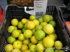 First Sweet Limes First Sweet Limes