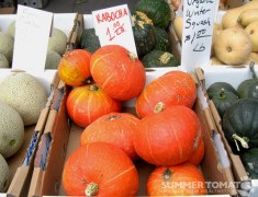 Orange & Green Kabocha Squash