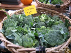 Organic Broccoli Organic Broccoli