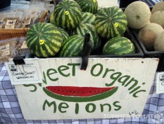 Organic Watermelons Sweet Organic Melons