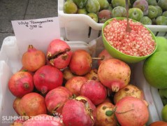 White Pomegranates White Pomegranates